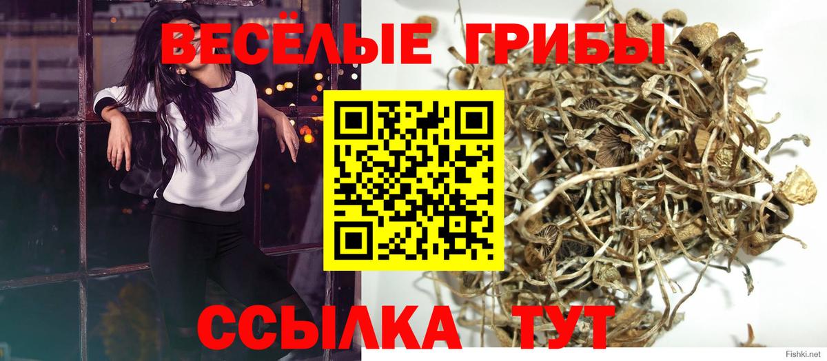 Псилоцибиновые грибы ЛСД Скопин